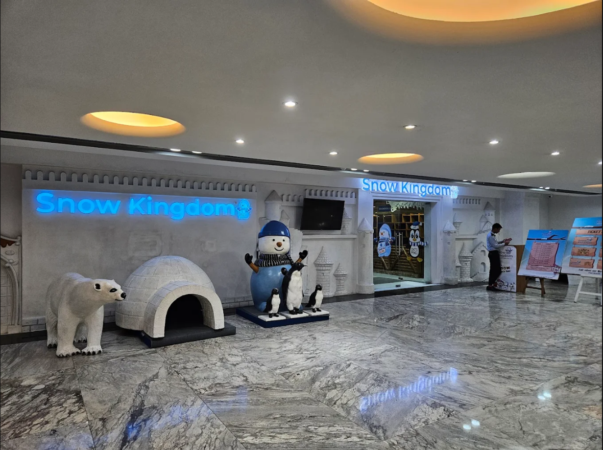 Snow kingdom Hyderabad , Winter sports hyderabad , snow kingdom sarath city mall, indoor snow theme park